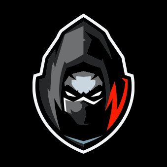 Rogue Scripts